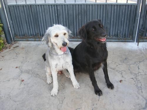 Отель Foulsyke Farmhouse