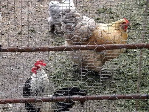 Отель Foulsyke Farmhouse