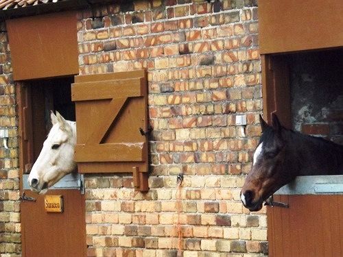 Отель Foulsyke Farmhouse