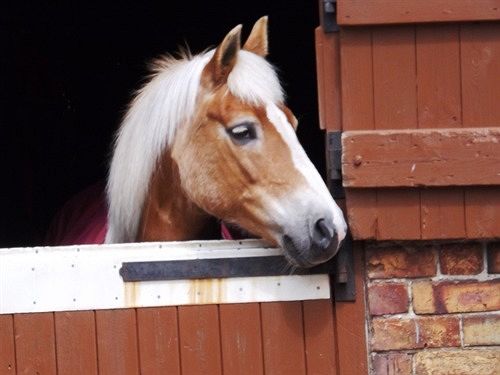 Отель Foulsyke Farmhouse