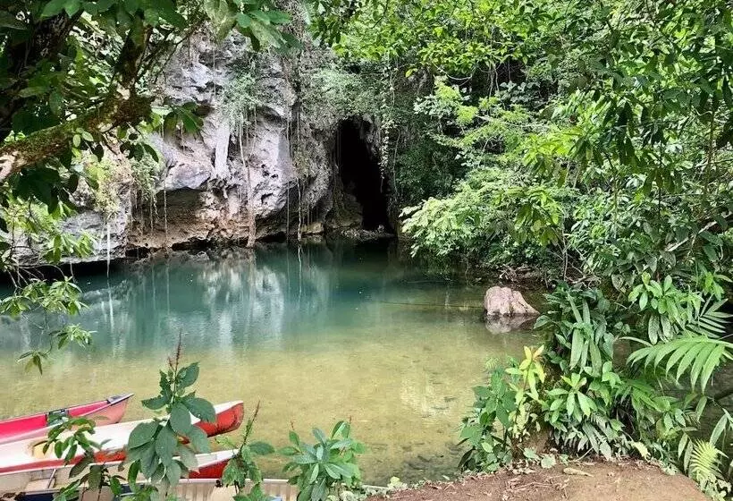 Hotel Gumbo Limbo Jungle Resort