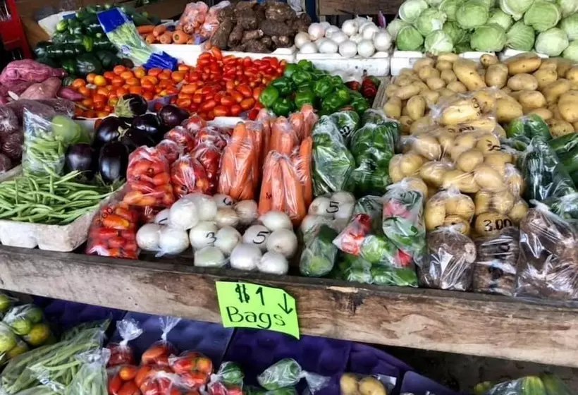 Hotel Gumbo Limbo Jungle Resort