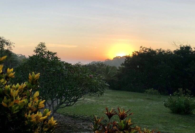 ホテル Gumbo Limbo Jungle Resort