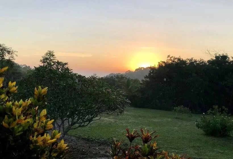 Hotel Gumbo Limbo Jungle Resort