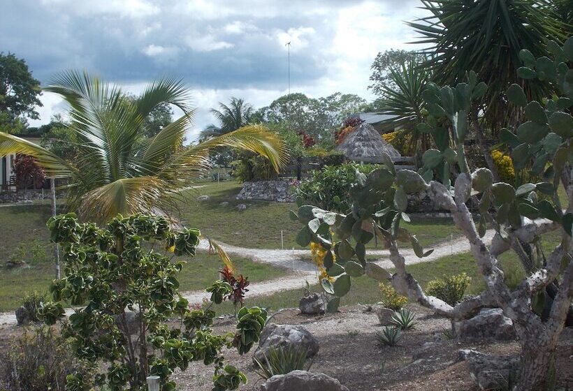 ホテル Gumbo Limbo Jungle Resort