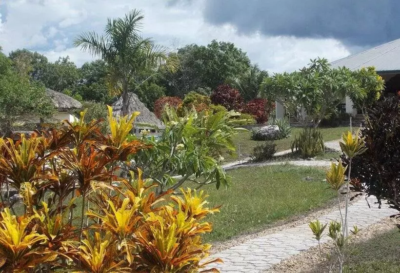 Hotel Gumbo Limbo Jungle Resort