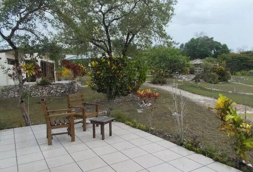 Hotel Gumbo Limbo Jungle Resort