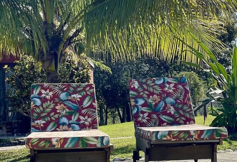 Hotel Gumbo Limbo Jungle Resort