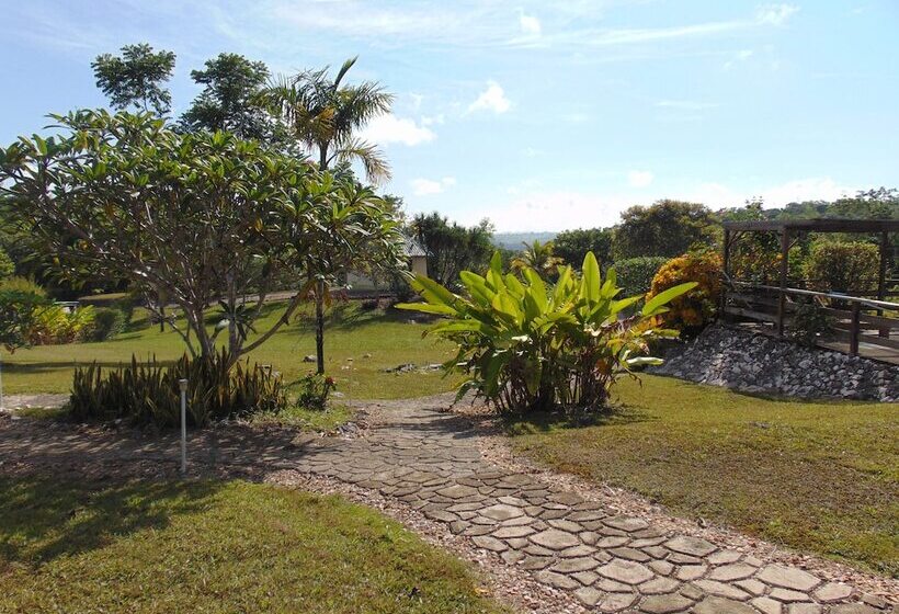 ホテル Gumbo Limbo Jungle Resort