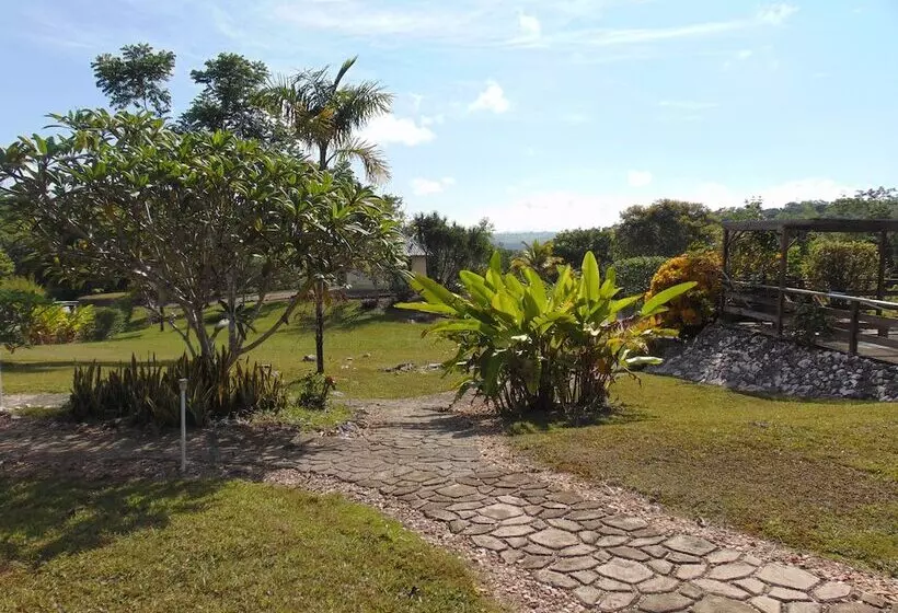 Hotel Gumbo Limbo Jungle Resort