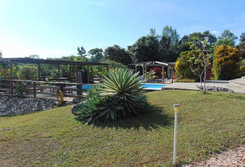 ホテル Gumbo Limbo Jungle Resort