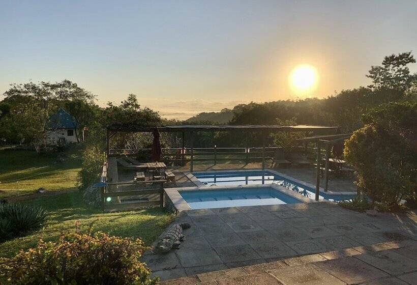 ホテル Gumbo Limbo Jungle Resort