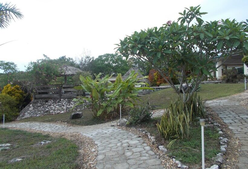 ホテル Gumbo Limbo Jungle Resort