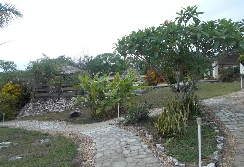 Hotel Gumbo Limbo Jungle Resort