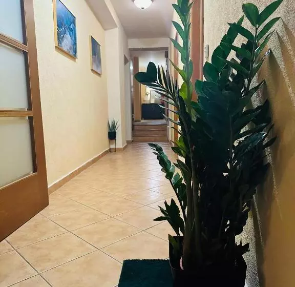 هتل Lucic Rooms & Suites