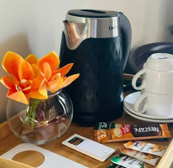 هتل Lucic Rooms & Suites