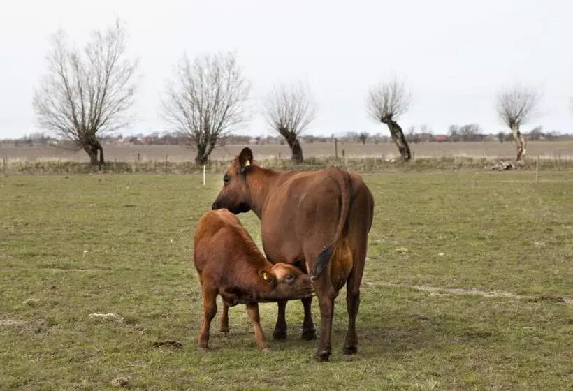 ホテル Ängavallen