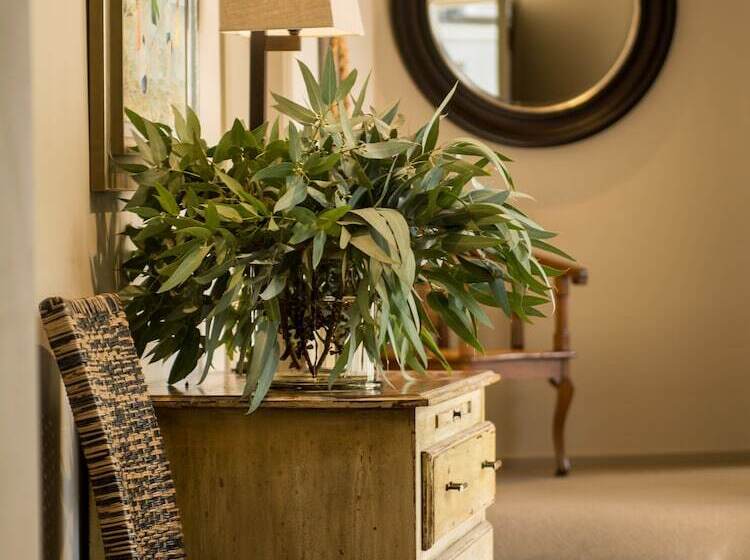 酒店 Te Koi The Lodge At Bronte