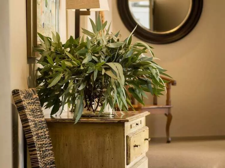 酒店 Te Koi The Lodge At Bronte