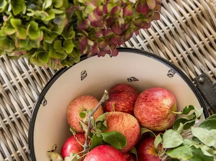 酒店 Te Koi The Lodge At Bronte