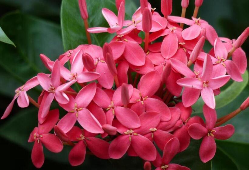 La Palapa Eco Lodge Resort