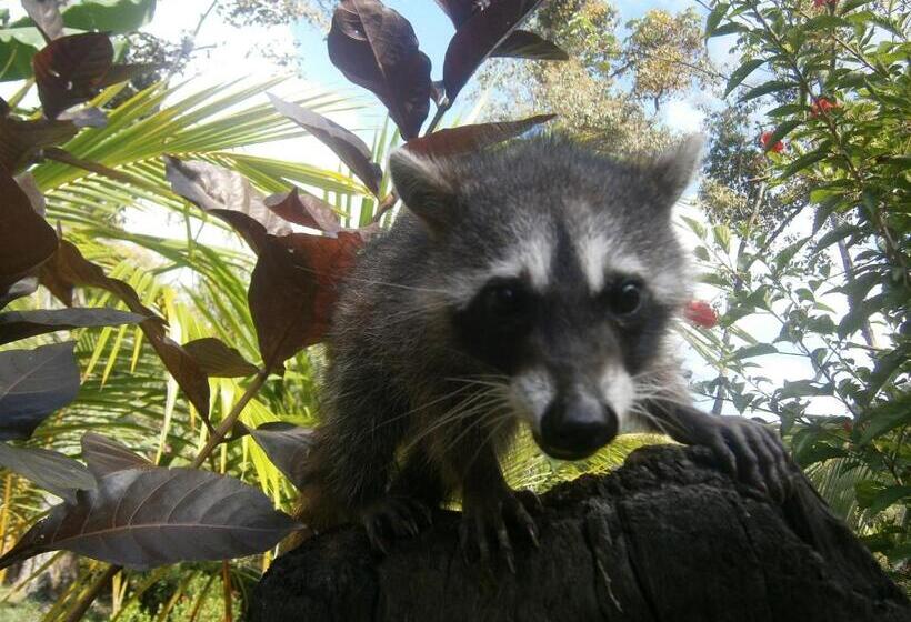 La Palapa Eco Lodge Resort