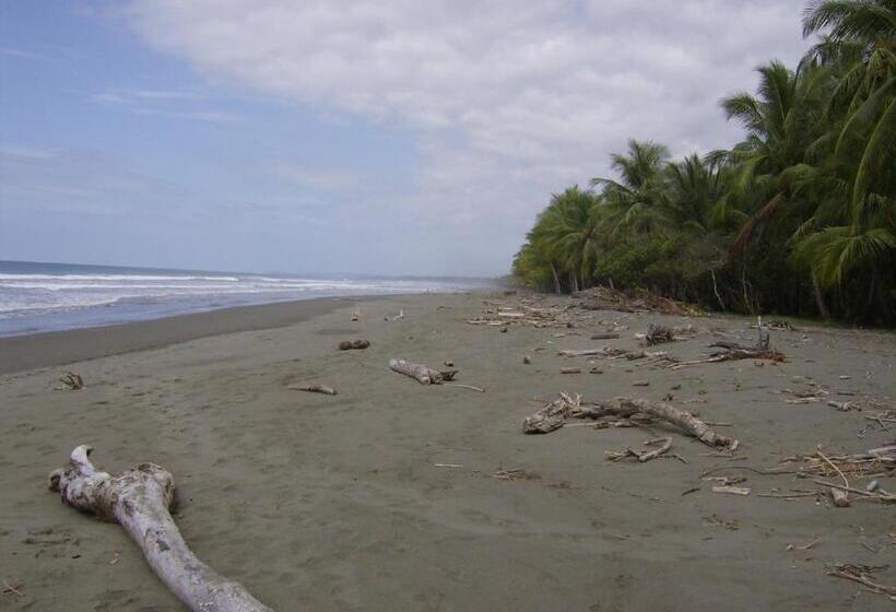 La Palapa Eco Lodge Resort