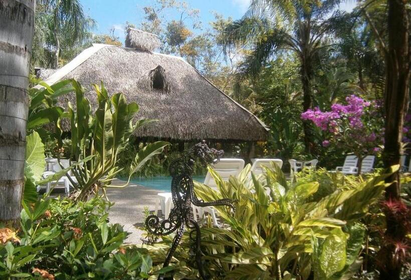 La Palapa Eco Lodge Resort