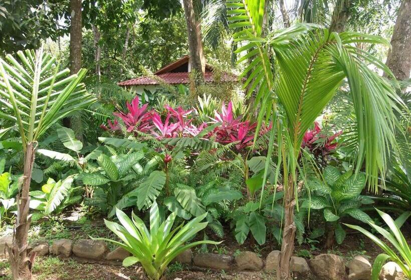 La Palapa Eco Lodge Resort