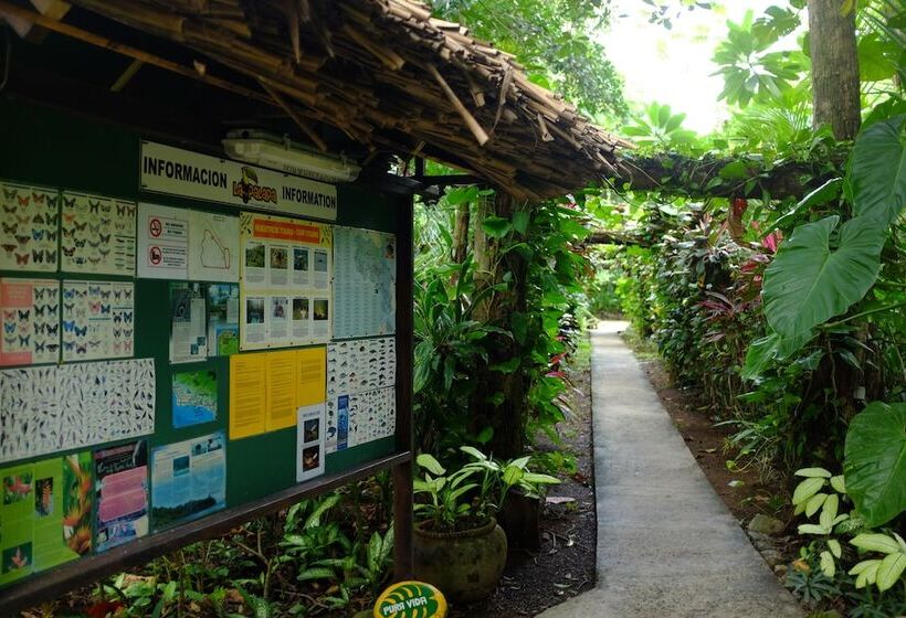 La Palapa Eco Lodge Resort