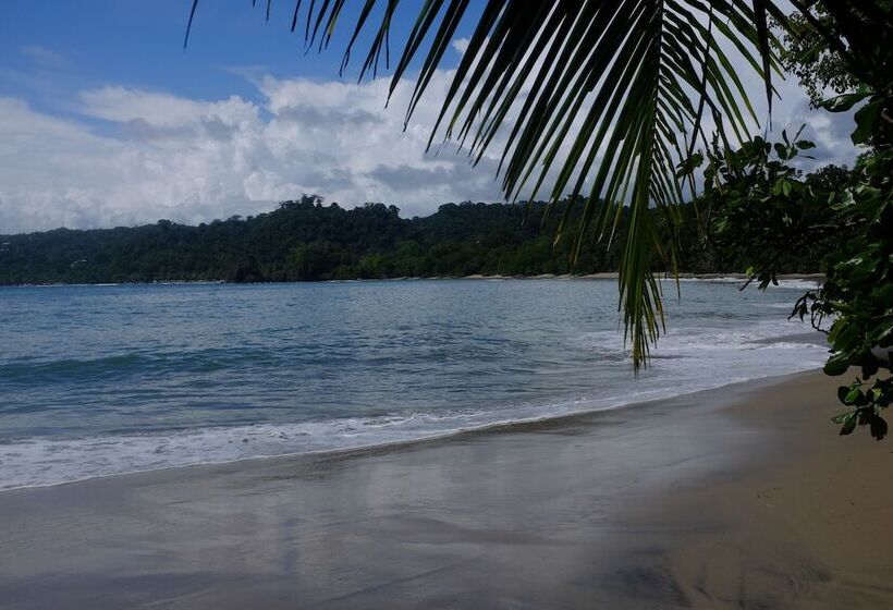 La Palapa Eco Lodge Resort