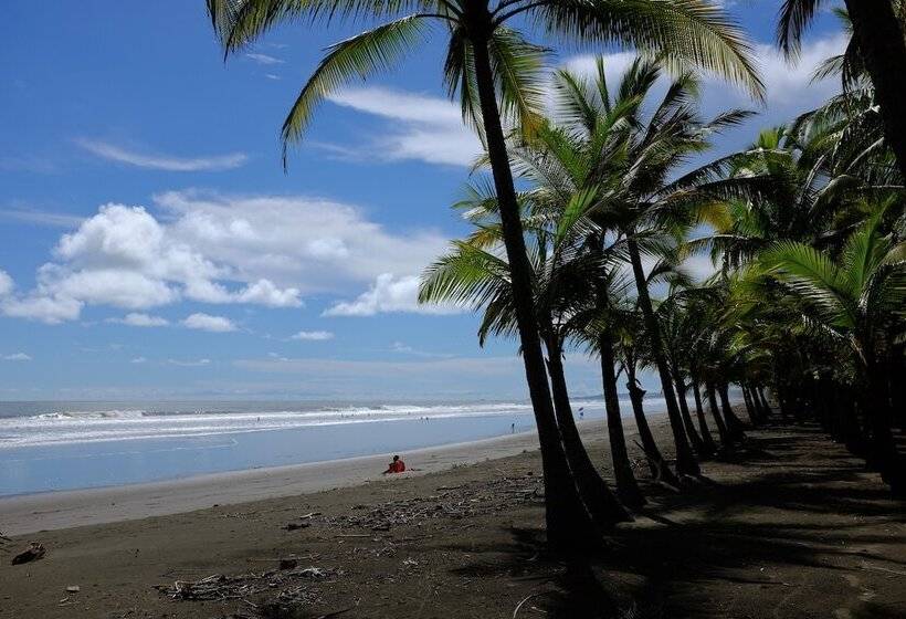 La Palapa Eco Lodge Resort