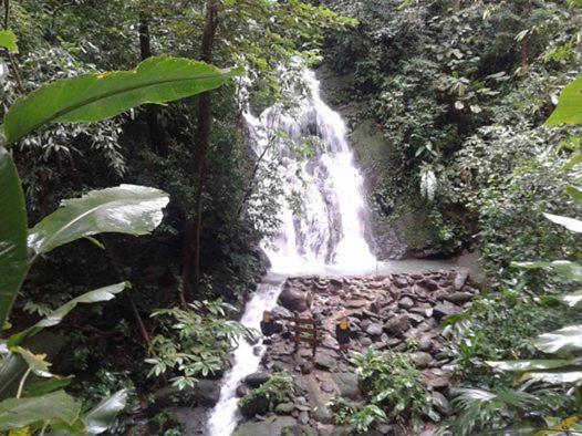 La Palapa Eco Lodge Resort