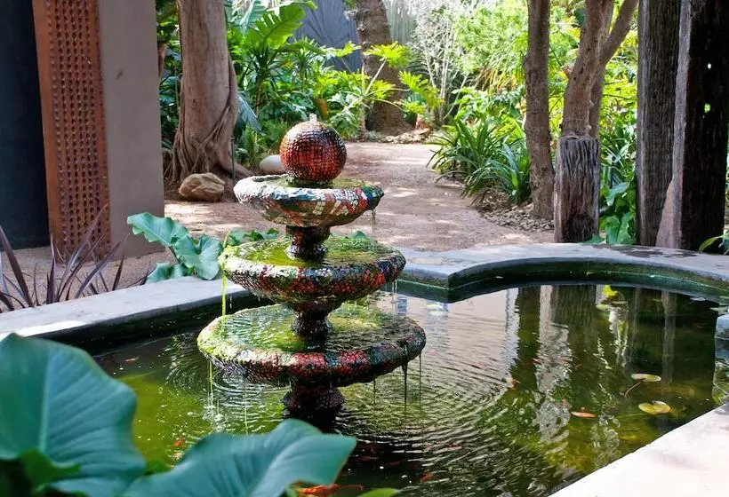 Singa Lodge Lion Roars Hotels & Lodges