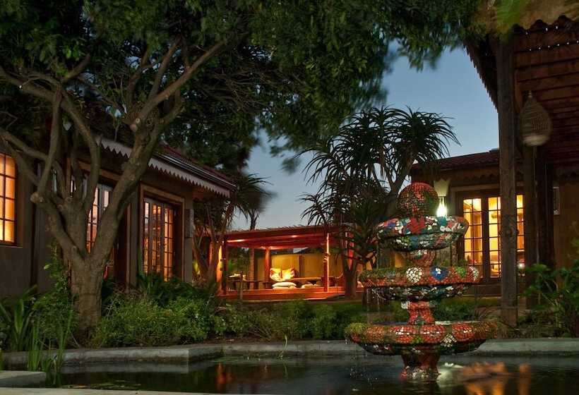 Singa Lodge   Lion Roars Hotels & Lodges