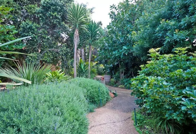 Singa Lodge Lion Roars Hotels & Lodges