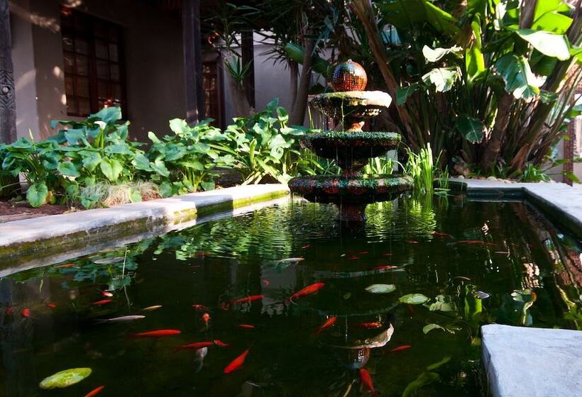 Singa Lodge   Lion Roars Hotels & Lodges