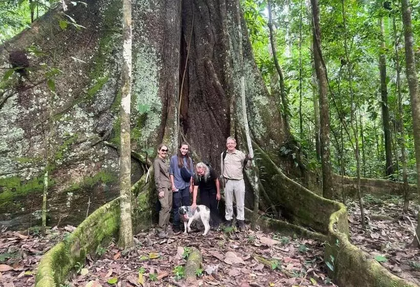 ベッドアンドブレックファースト Tambopata Edosikiana Lodge