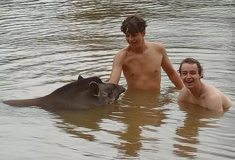 ベッドアンドブレックファースト Tambopata Edosikiana Lodge