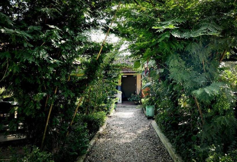 هتل Vista Chitwan