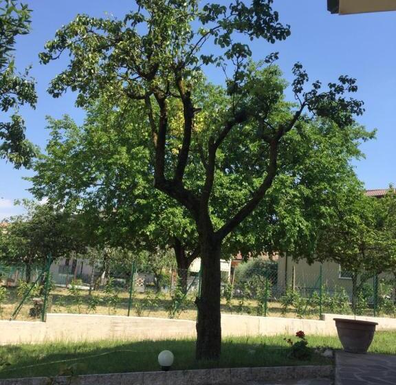 פנסיון Villa Rita