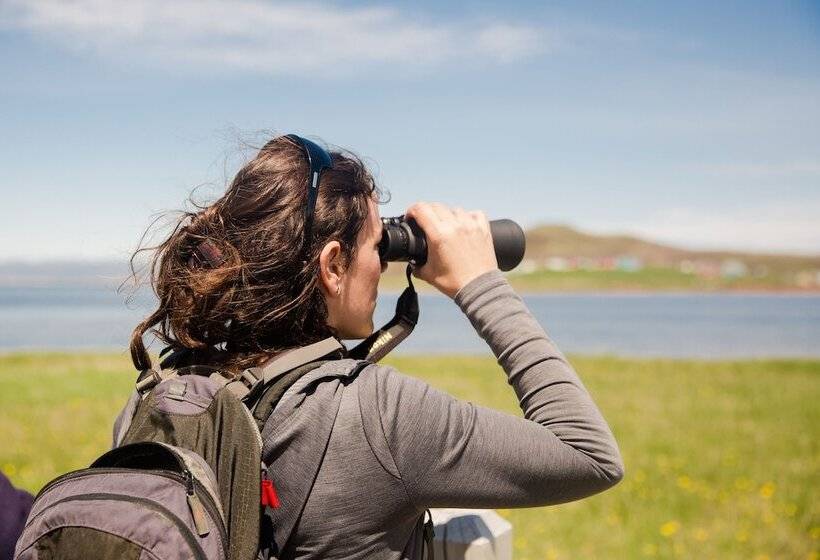 فندق Chateau Madelinot