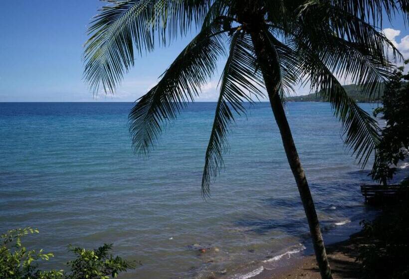Otel Las Flores Beachside