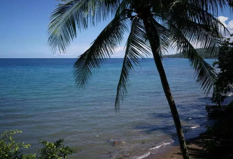 Отель Las Flores Beachside