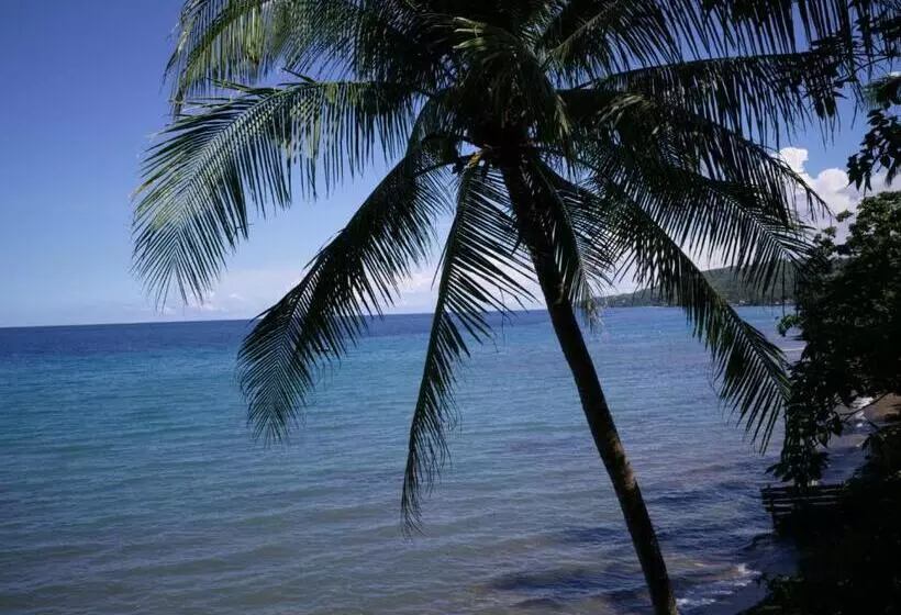 Отель Las Flores Beachside