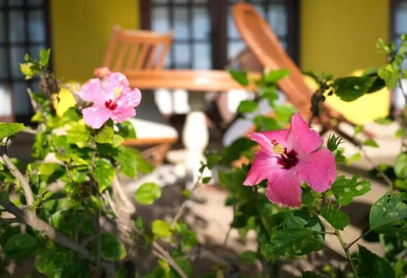 Отель Las Flores Beachside