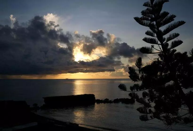 Отель Las Flores Beachside