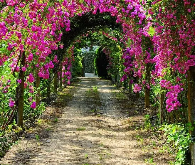 호텔 Quinta De São Lourenço