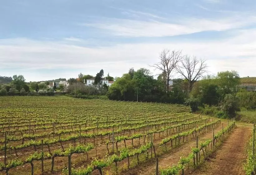 호텔 Quinta De São Lourenço