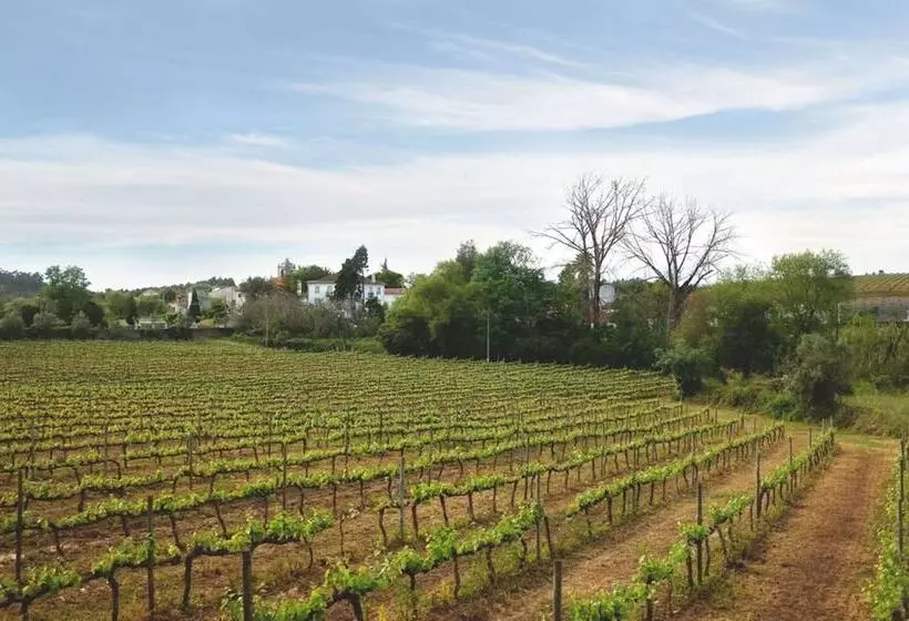 호텔 Quinta De São Lourenço